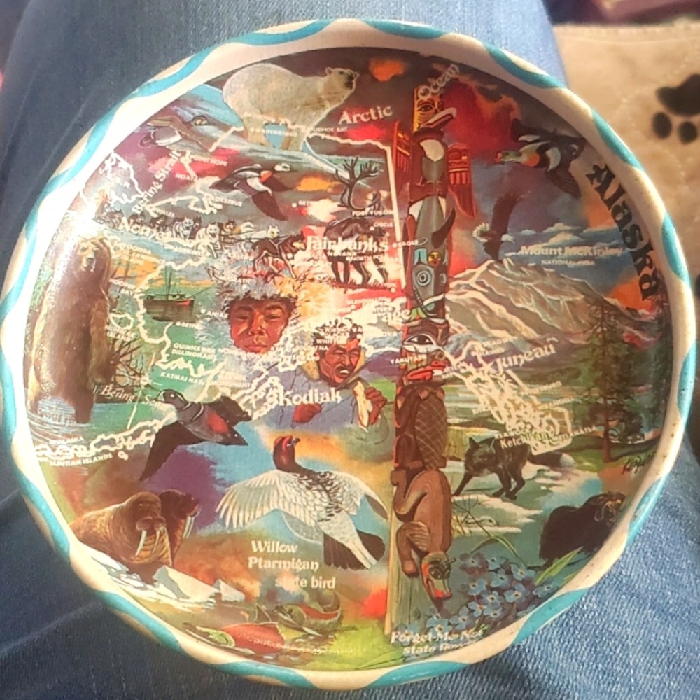 Vintage Alaska State Metal collector plate. Very good condition.